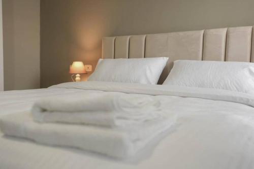 Staycation, City Center Apartment with balcony, Tirana (photo 8)