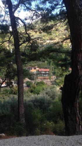 Villa Urla, Kalkan,Üzümlü