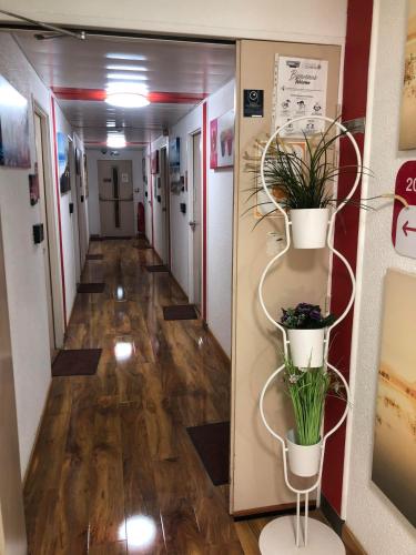 N&Z HOTELS in Траппе