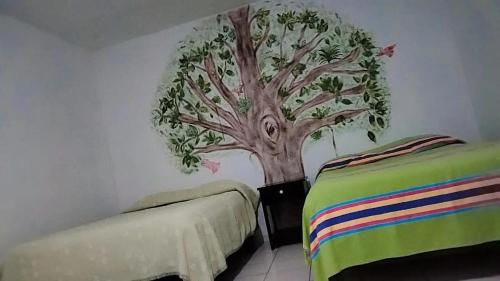 Casa la Conchita in San Luis Potosí, Mexico
