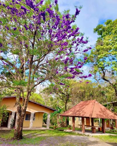 Cabañas El Valle