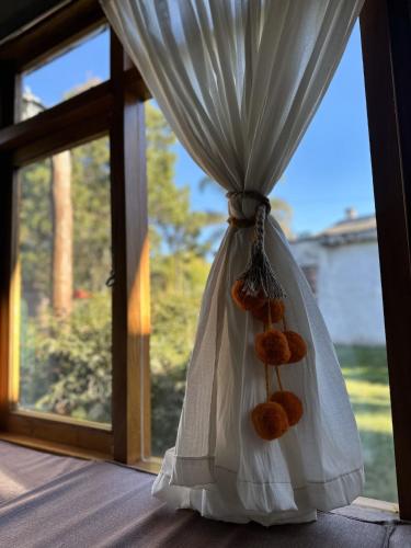 La Pichonita in Lozano