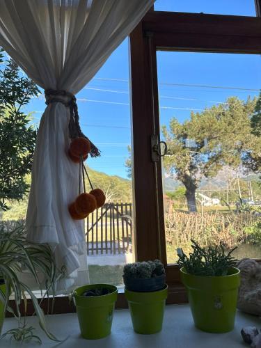 La Pichonita in Lozano