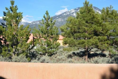 Adorable Adobe Taos - excellent location between ski valley and town! in El Prado, USA
