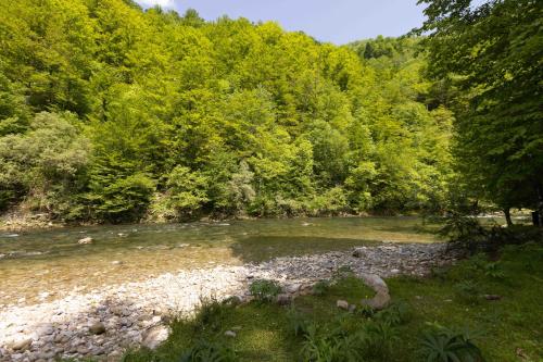 Treehouse KUPARI Nacionalni park Risnjak