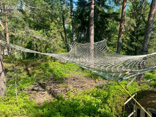 Summer Cabin Nesodden sauna, ice bath tub, outdoor bar, gap hut