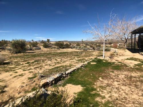 Elsas desert retreat AV in Joshua Tree, USA