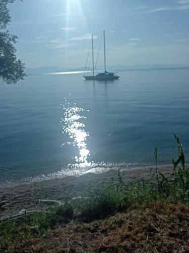 Corfu Bay sea view apartments 100m from the beach 5