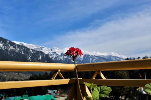 UpClimb Longstay for bus or taxi only guests in Manali