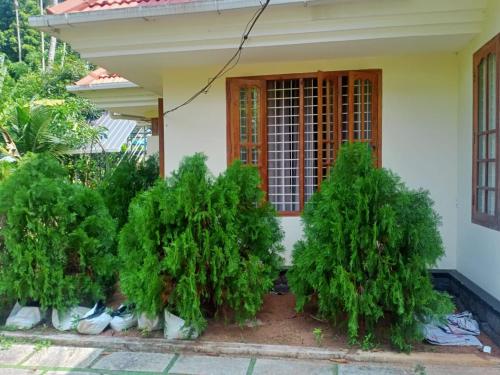 Sinai Homestay - image 4
