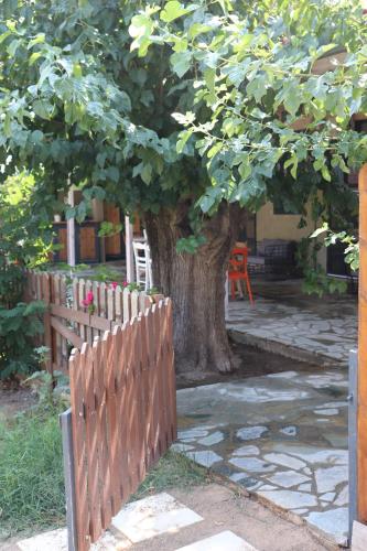 FARMAHOUSE in Orchomenos