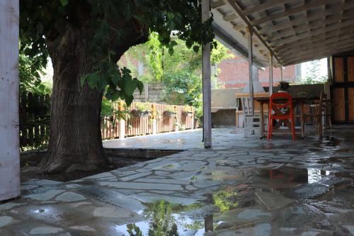 FARMAHOUSE in Orchomenos