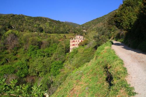 Apkārtne, Kallista 1 in San-Giuliano