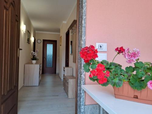 Ieeja, Casa Vacanze Kristina in Brissago Valtravaglia