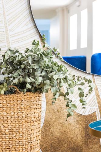 Presidente - image 4