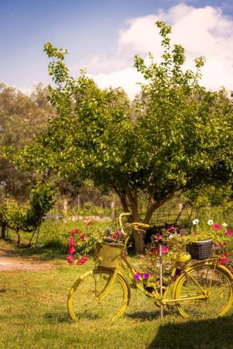 Yellow Bike House