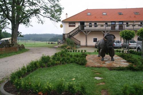 Bison Ranch - image 12