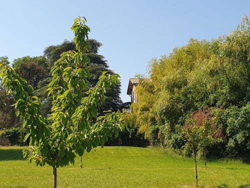花園, Douceurs des vignes du Vivian in 丹尼斯