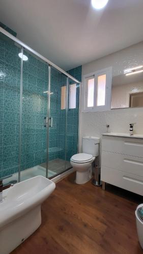 Apartment with Terrace image 8