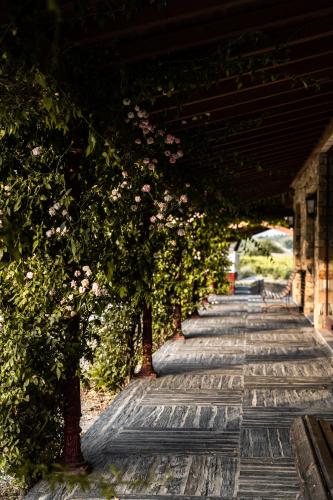 Kert, QUINTA DA FAÍSCA - Agro Turismo (QUINTA DA FAISCA - Agro Turismo) in Alijó