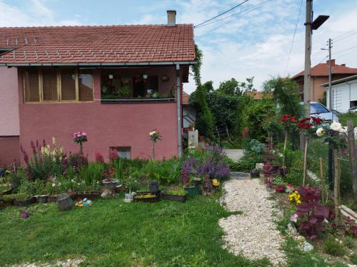 Stancic 019 - image 10