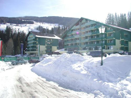Alpine Club by Schladming-Appartements - image 4