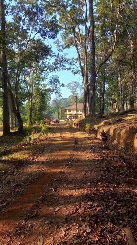 Surrounding environment, Magod Homestay in Yellapur