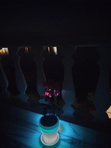 Tzonevi Guest House - image 3