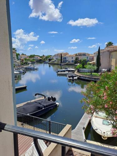 Belle marina avec ponton et piscine collective