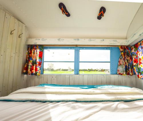 American School Bus Glamping - Somerset in Cheddar