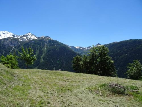 Appartement Peisey-Nancroix-Plan Peisey 1 pièce 4 personnes - FR-1-411-645 - image 14