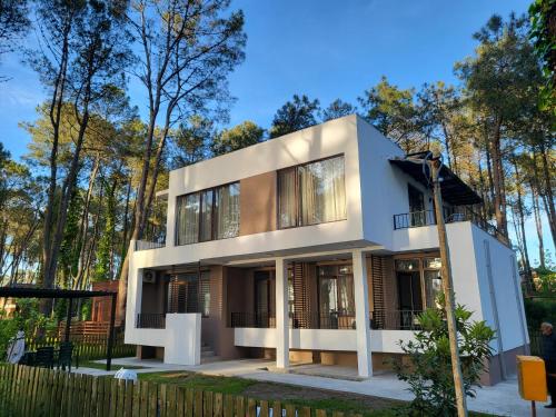 Sommer by Sveta / Лето у Светы Sommer by Sveta / Лето у Светы