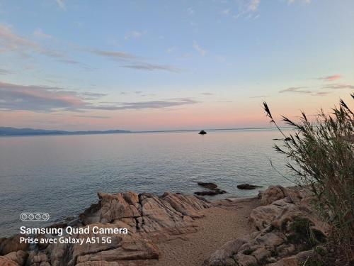 Pied dans l'eau aux sanguinaires - Location saisonnière - Ajaccio