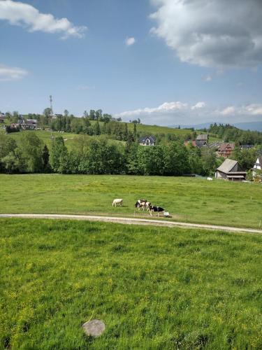 景觀, Pokoje Gościnne U Teresy (Pokoje Goscinne U Teresy) in 比亞利杜納耶茨