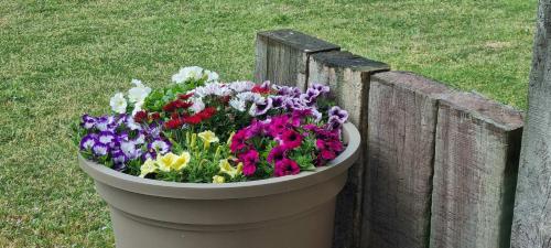 Hotel Westendia - image 9