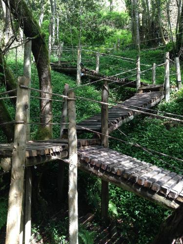 Rio Moment's - image 14