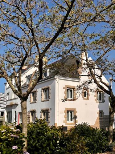 Un B&B à Loktudi - Chambre d'hôtes - Loctudy