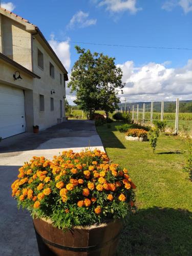 Vivienda María Lourdes