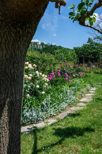 Rooms&Vinery Bregovi - Sobe in vinska klet Bregovi