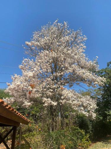 Sítio Aconchegante e Ideal para Crianças