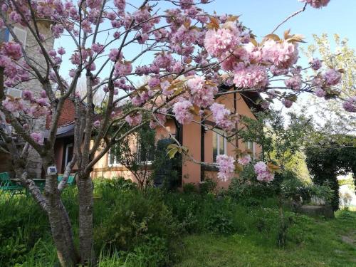 Beautiful house in Giverny - Location saisonnière - Giverny