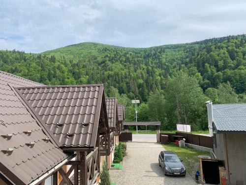 Карпатський Готель Олександрія, Mykulychyn (foto 7)