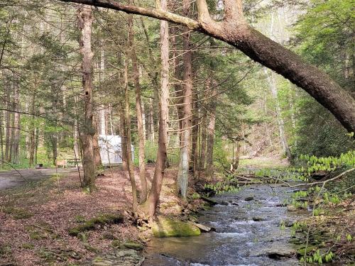 . Tentrr State Park Site - Big Run State Park - Site F