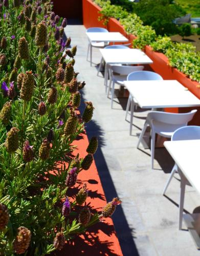 Vitoria Stone Hotel - image 8