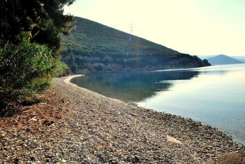 Fokiotripa (lovely villa on an enchanting beach) - Marathiás