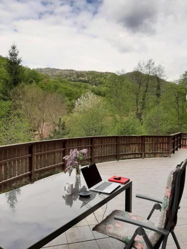 Casa River in Muntele Băişorii