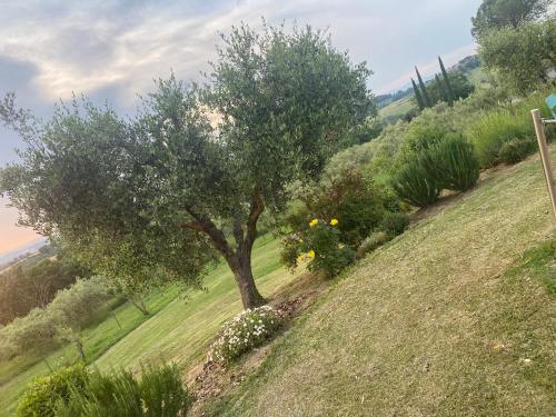 Agriturismo Palazzo Val Del Sasso - image 4