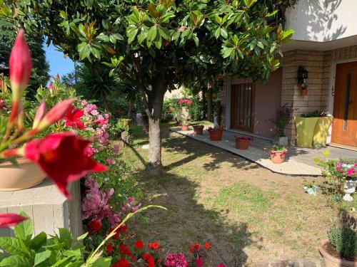  Traveller - 2 bedrooms apartment in Rimini