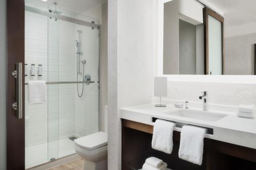 Summit Suites - image 11