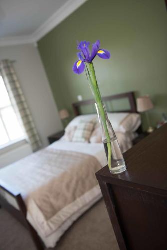 Dunagree Bed & Breakfast - image 13